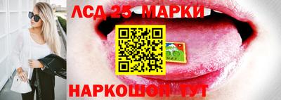 индика Моздок