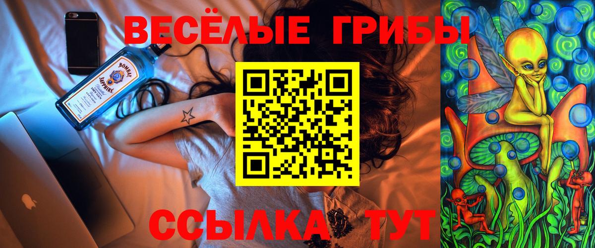 Псилоцибиновые грибы MAGIC MUSHROOMS Вичуга