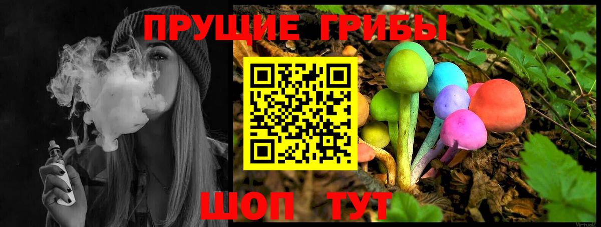 купить   Псилоцибиновые грибы MAGIC MUSHROOMS  Вход с VPN  Псилоцибиновые грибы Cubensis  Вичуга 